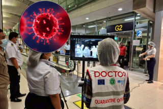 Nowa pandemia? Straszą wirusem Nipah. Nawet 75 proc. ludzi umiera