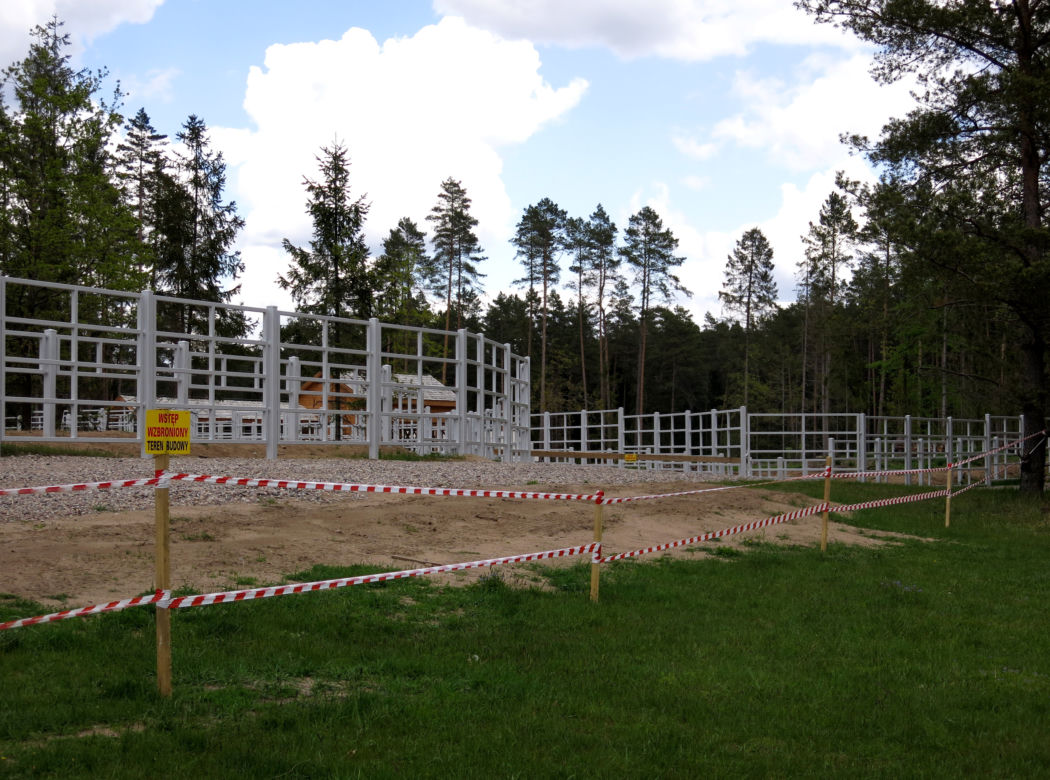 W Kopnej Górze powstaje pokazowa zagroda żubrów