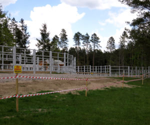 W Kopnej Górze powstaje pokazowa zagroda żubrów