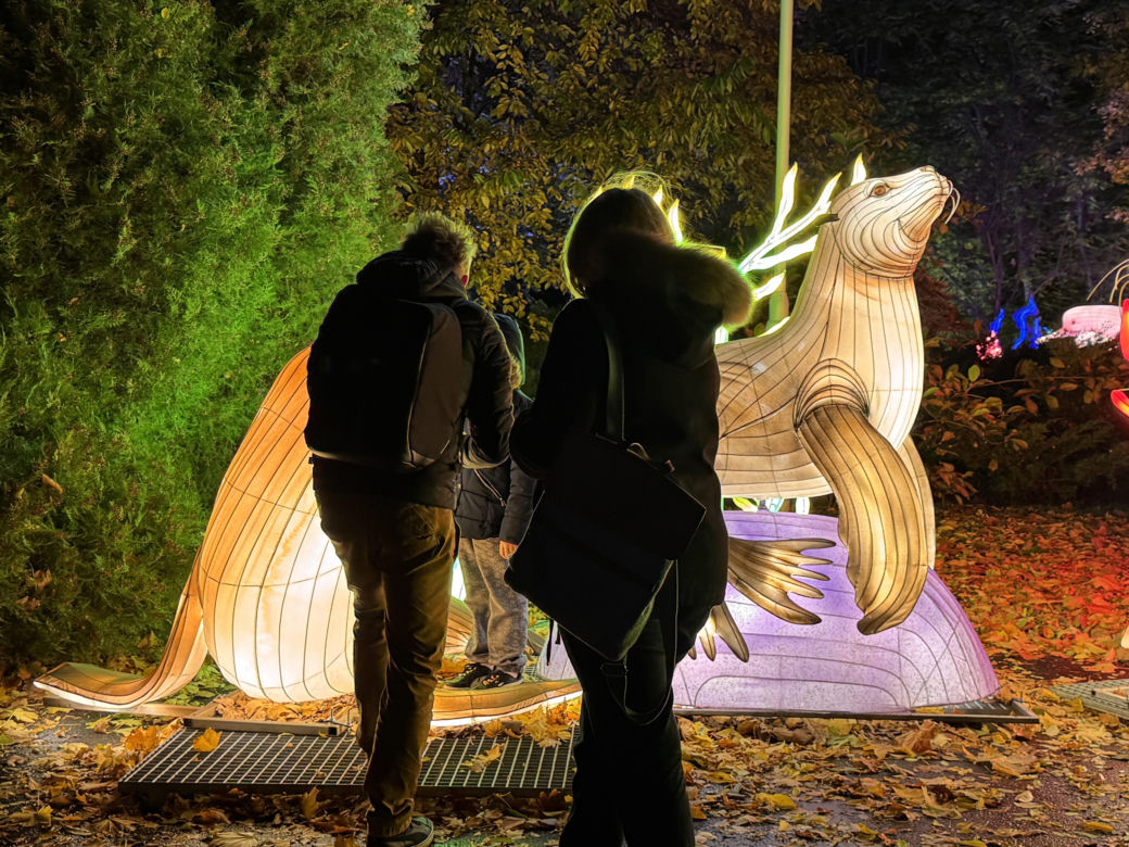 Garden of Lights we Wrocławiu