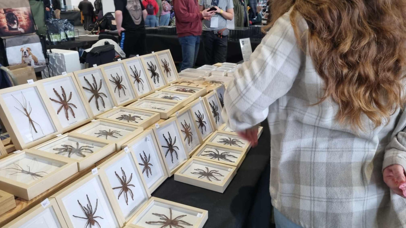 Targi Exotic Fest odbyły się w Poznaniu
