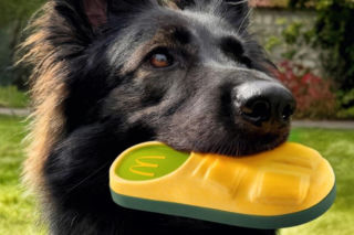 Tego jeszcze nie było. W McDonald’s wprowadzili ofertę dla psów „Happy Doggy”