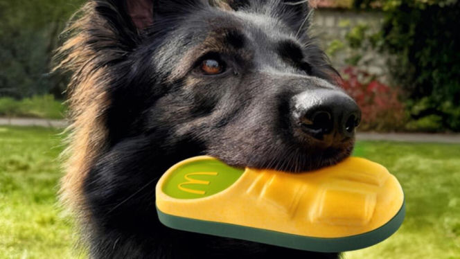 Tego jeszcze nie było. W McDonald’s wprowadzili ofertę dla psów „Happy Doggy”