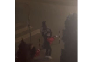 19-latek z Gdańska wybił szybę w kwiatomacie, ukradł dwa bukiety i wręczył je dziewczynom