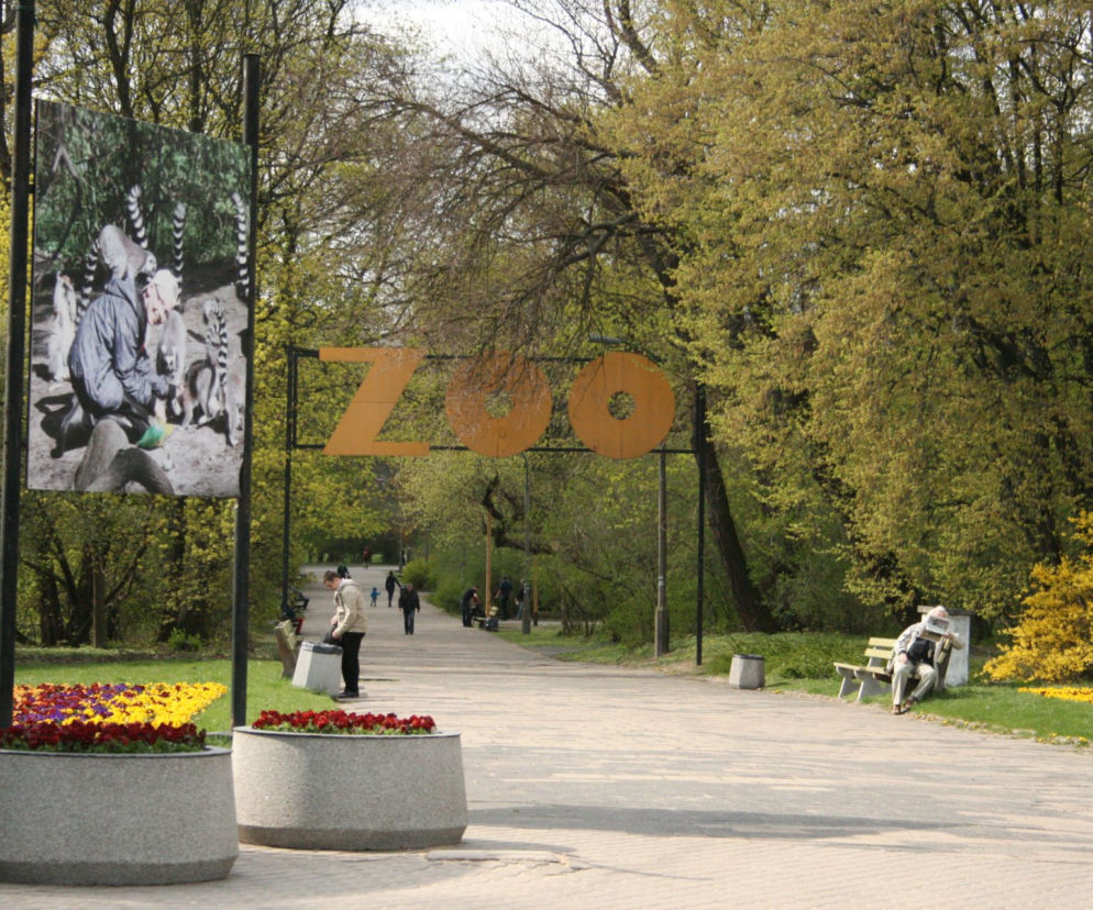 Warszawa: 730 tys. osób odwiedziło zoo w 2016 roku