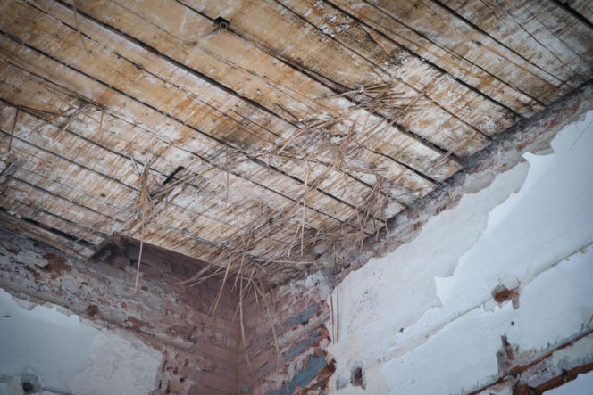 Modernizacja Muzeum Archeologicznego i Etnograficznego w Łodzi