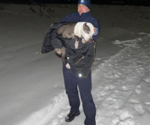 16-letnia Dira zaginęła w mrozie. Leżała w polu i nie mogła wstać