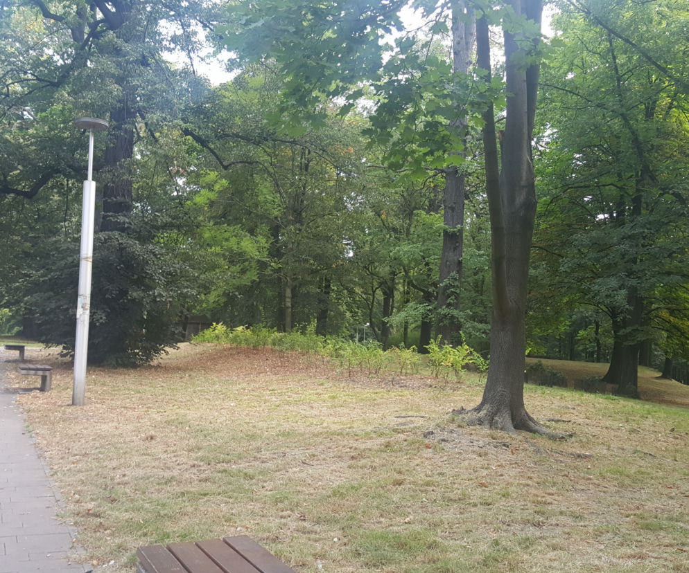 Park Zamkowy i Promenada w Mysłowicach