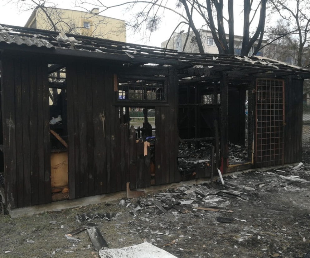 Chełm: Tragiczna śmierć 33-latka. Zginął w nocnym pożarze. Dramat!