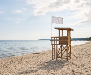 Sinice Sopot. Czy w Sopocie można się kąpać 15.07? Flaga, warunki pogodowe