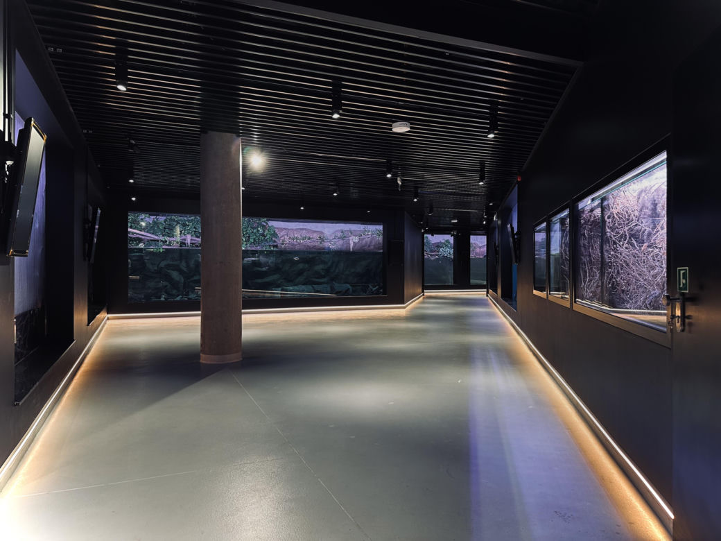 Nowe Egzotarium w Sosnowcu