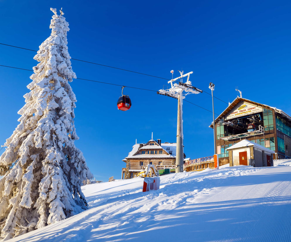 Rusza Projekt Zima TVN 2026! Viki Gabor i gwiazdy Gogglebox to dopiero początek atrakcji