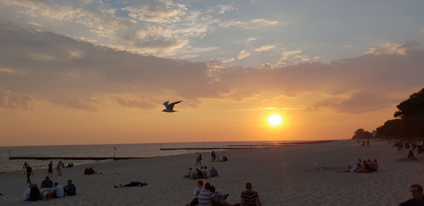 Sunrise Festival 2018 - energia, szaleństwo i łzy szczęścia! Fani zachwyceni! [RELACJA]