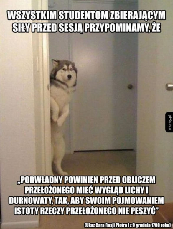 Tak studenci walczą o zaliczenie! Zobacz najlepsze MEMY o sesji!