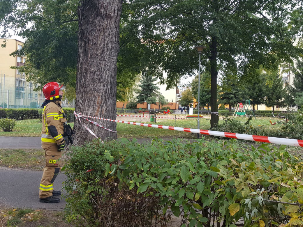 Strażacy (i piły) na pełnych obrotach