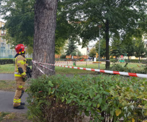 Strażacy (i piły) na pełnych obrotach
