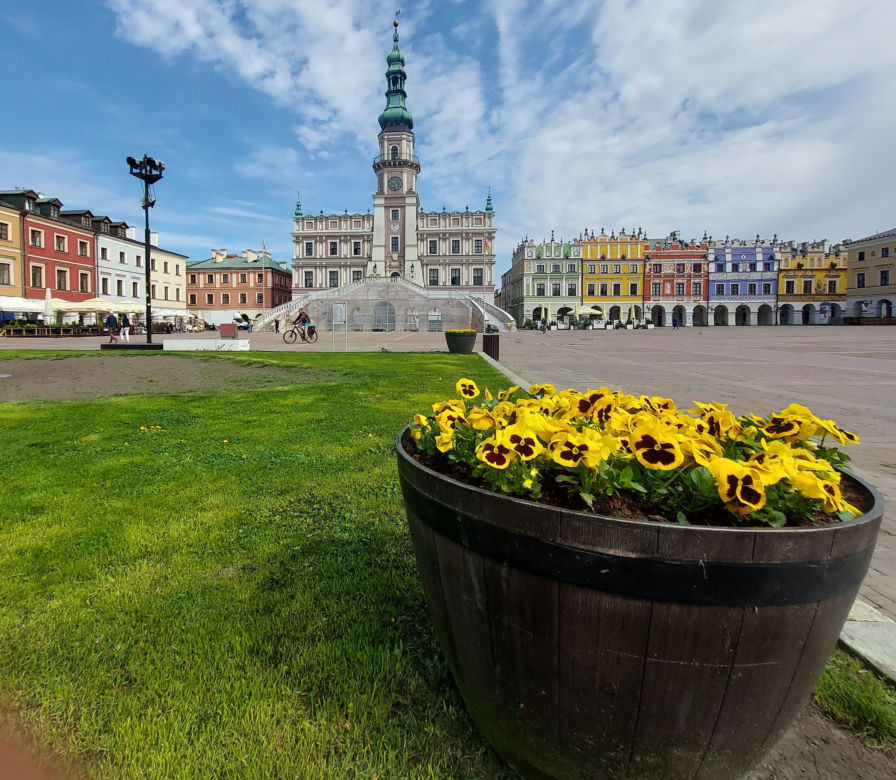 Zamość