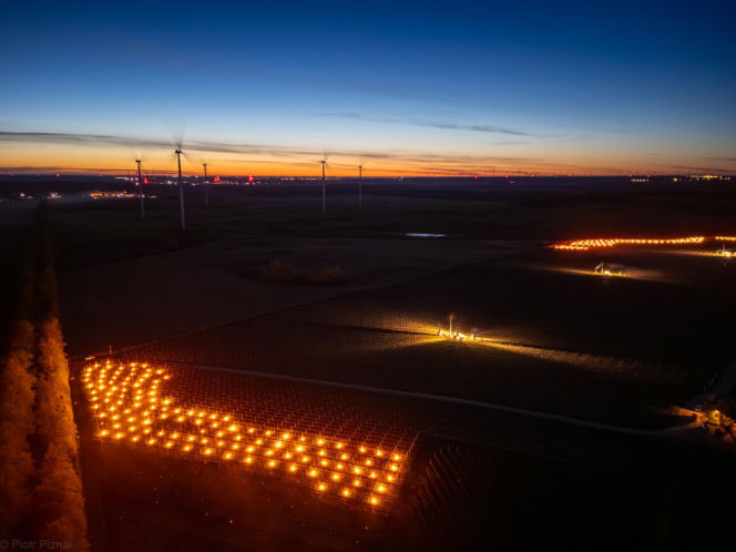 Przymrozki w winnicy - podgrzewanie winorośli