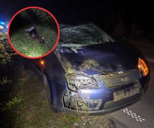 Kilka dni, jeden region, podobne wypadki! Przerażający bilans