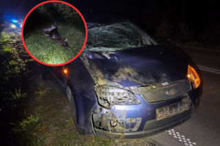 Kilka dni, jeden region, podobne wypadki! Przerażający bilans