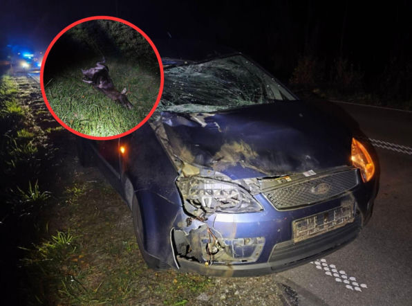 Kilka dni, jeden region, podobne wypadki! Przerażający bilans
