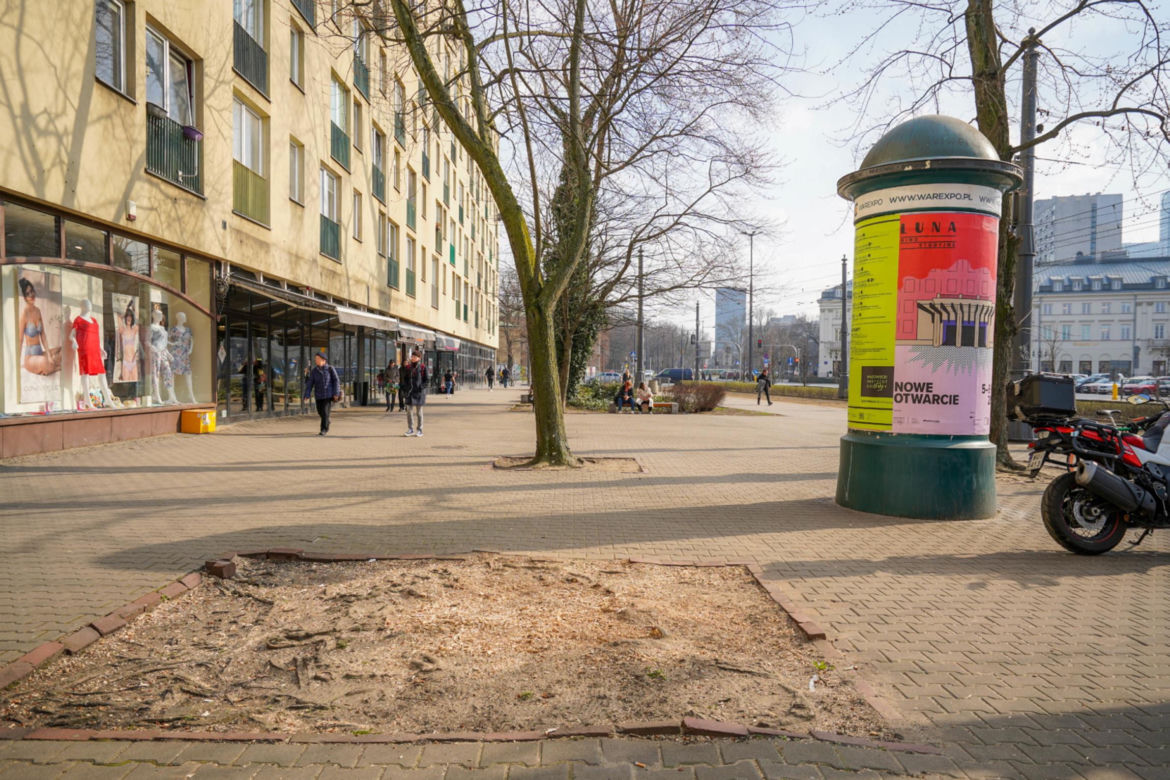 Warszawa ma nowy pomysł na plac Bankowy. Elegancka zieleń i płyty z granitu
