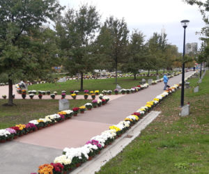 Dwa tysiące chryzantem ozdobiło park w Tarnowie