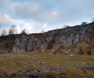 Przyroda w Wiedźminie