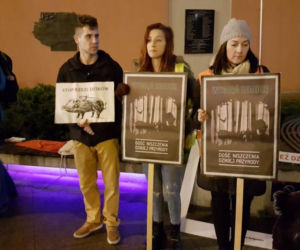 Ekolodzy boją się o dziki. Wyszli na ulice Bydgoszczy, by zaprotestować