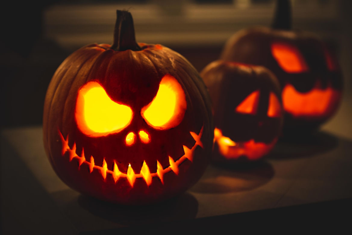 Halloween w Domu Roślin