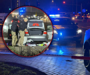Pirotechnicy na S8! Policja zablokowała drogę i przeszukała audi