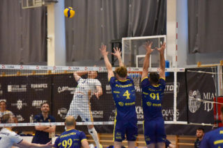 CUK Anioły Toruń - Stal Nysa: Komplet widzów na siatkarskim hicie w SP nr 28