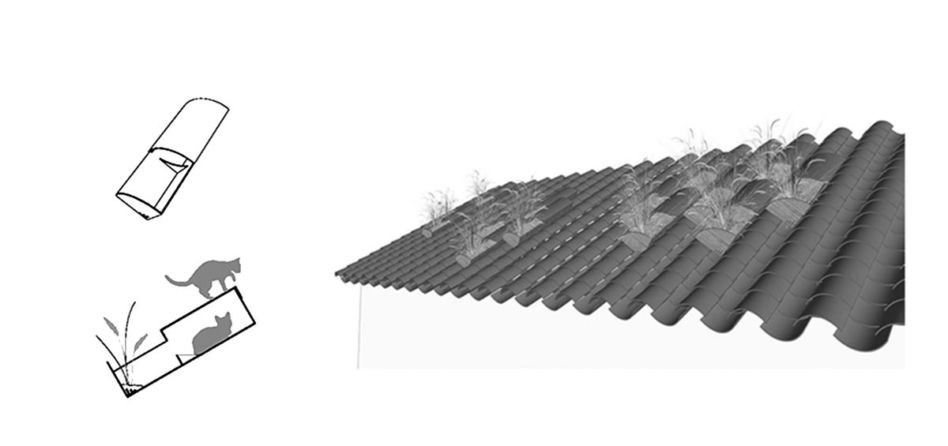 Architektura dla zwierząt