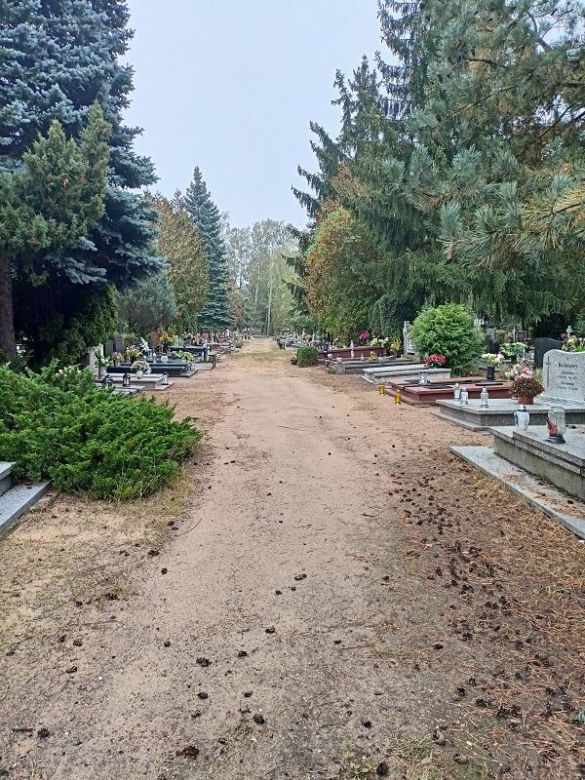 Cmentarz Junikowo Poznań