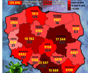 Koronawirus w Polsce. 11 października [WYKRESY]
