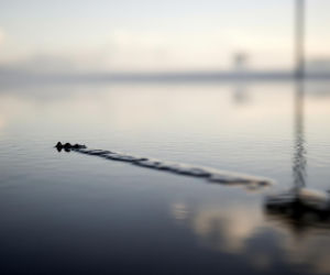 Wojskowe samoloty USA runęły w Kuwejcie. Co z załogami maszyn?