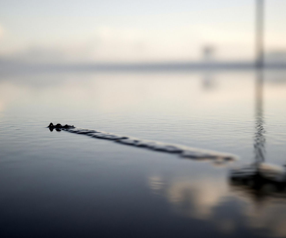 Głównym elementem obrazu jest powierzchnia wody, która zajmuje większą część kadru. Woda jest ciemna, prawie czarna w dolnej części, stopniowo jaśniejąca ku górze, gdzie odbija bladoniebieskie i jasnopomarańczowe odcienie nieba. Na środku obrazu, tuż nad powierzchnią wody, widoczny jest czarny, nieregularny kształt tworzący falę lub linię ciągnącą się w głąb kadru, z wyraźnymi wypukłościami bliżej lewej strony. Po prawej stronie kadru, rozmyte czarne cienie, przypominające odbicia dwóch pionowych, prostokątnych obiektów lub konstrukcji, są wyraźnie widoczne na powierzchni wody, a ich górne części zanikają w mgle lub jasnym, nieostrym tle. Tło jest bardzo jasne, rozmyte, z niewyraźnymi zarysami odległych obiektów i jaśniejszymi plamami, co sugeruje wczesny poranek lub wieczór.