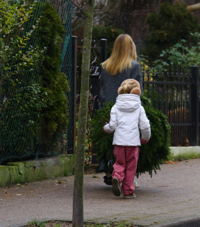 Donald Tusk z zięciem dźwigają gigantyczną choinkę. A za nimi drepcze Kasia z drugą. Wnusie premiera jak księżniczki