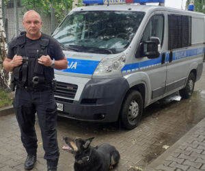 Gdzie policyjny pies idzie na emeryturę?