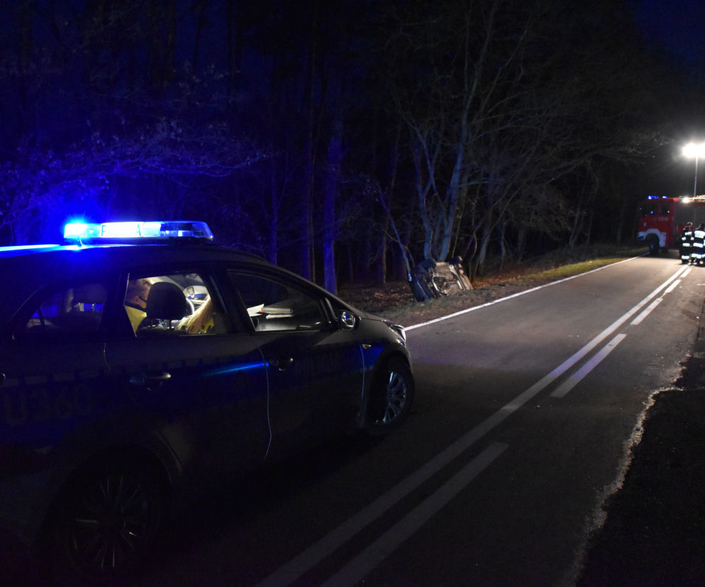 Dzierżążno Wielkie: Wsiadł za kółko po kilku głębszych i WYLĄDOWAŁ W ROWIE! W aucie nie był sam 