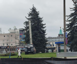 Choinka miejska Siedlce