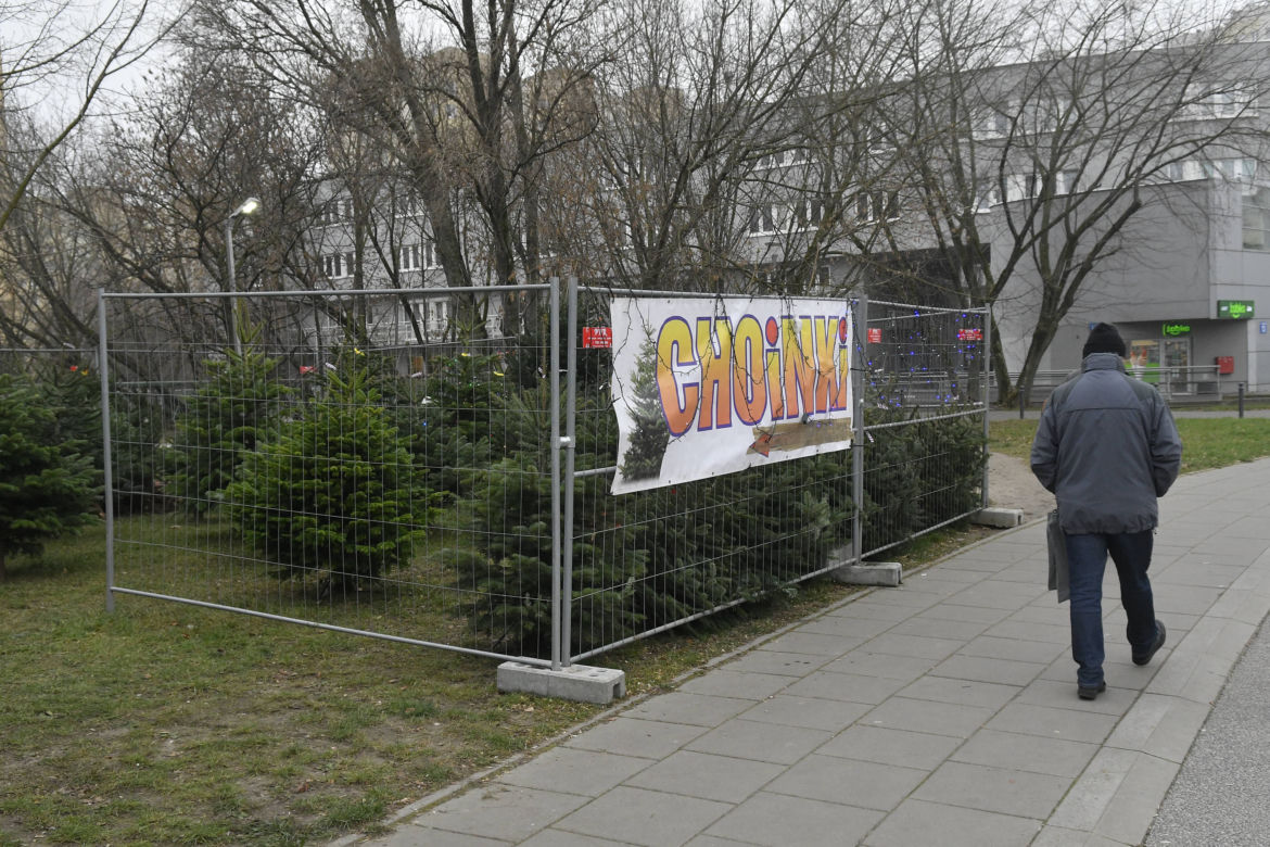  Gdzie najtaniej kupić choinkę w Warszawie? 