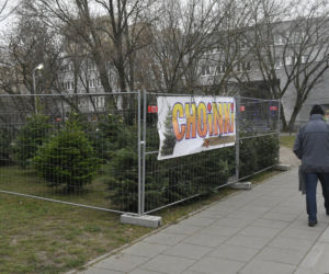  Gdzie najtaniej kupić choinkę w Warszawie? 