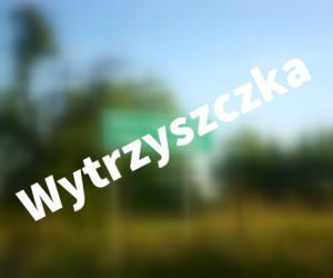 Wytrzyszczka