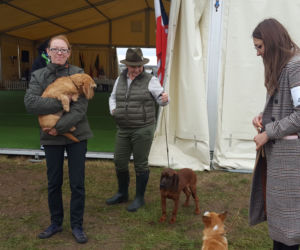 Pierwsza w czasach pandemii. Międzynarodowa wystawa psów rasowych