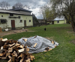 Miała wziąć zegar w kształcie słonia i zabić nim własną matkę. Mała wieś na Lubelszczyźnie w szoku