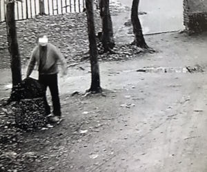 Głowa, skóra i nogi w foliowym worku. Makabryczne znalezisko w Jarocinie!