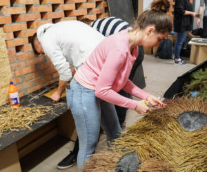 Instalacje artystyczne z roślin wykonane w pracowni Architektury Krajobrazu KUL, przez studentów pod okiem wykładowcy mgr. inż. Pawła Adamca