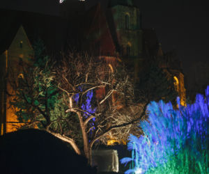 Lasery, muzyka i kolorowe iluminacje w Ogrodzie Botanicznym we Wrocławiu