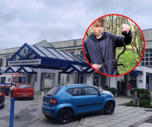 Dramat nastolatka z Nowego Targu! Egzotyczny wąż omal go nie zabił